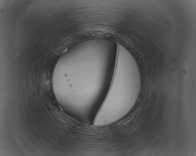 X0000086220771200703291003