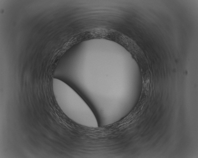 X0000086220772200703291003