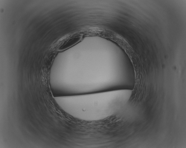 X0000086220773200703291003