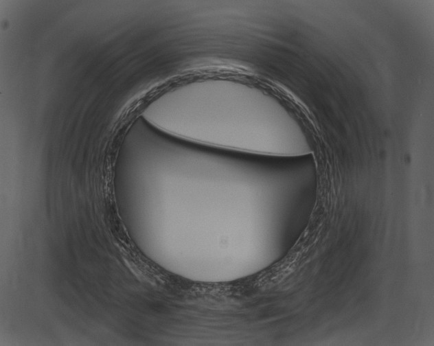 X0000086220775200703291003