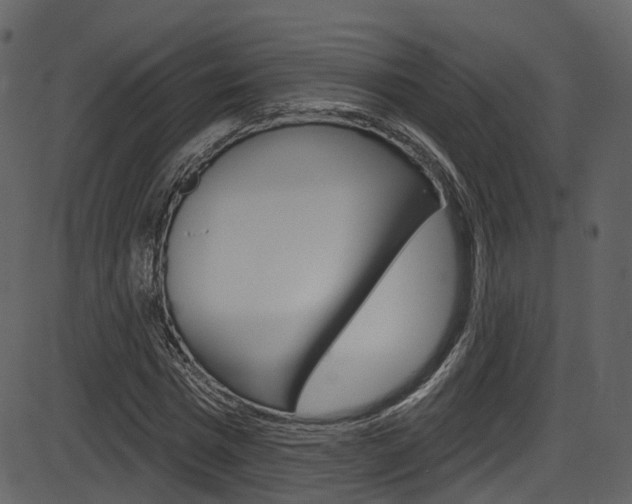 X0000086220777200703291003