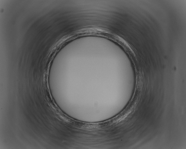 X0000086220778200703291003