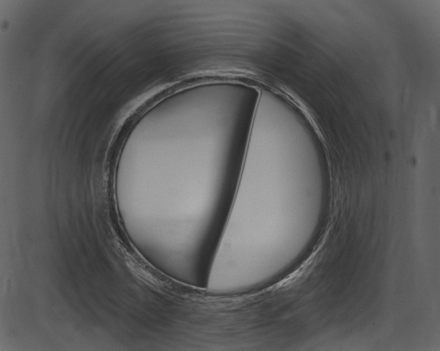X0000086220779200703291003