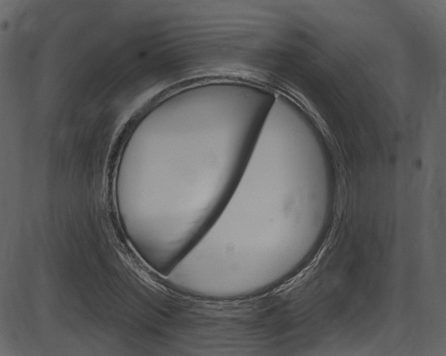 X0000086220780200703291003