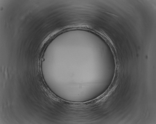 X0000086220781200703291003