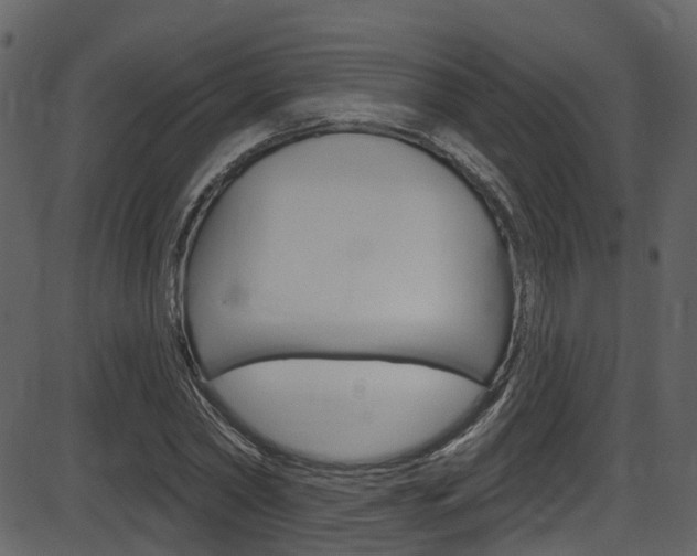 X0000086220782200703291003