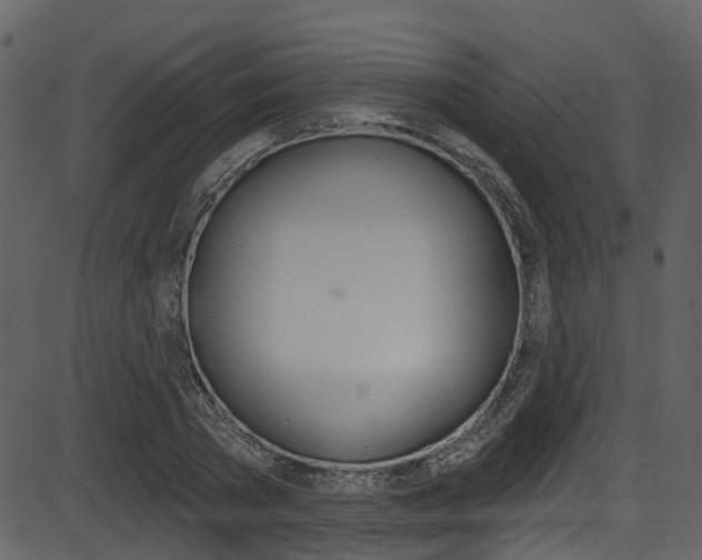 X0000086220785200703291002