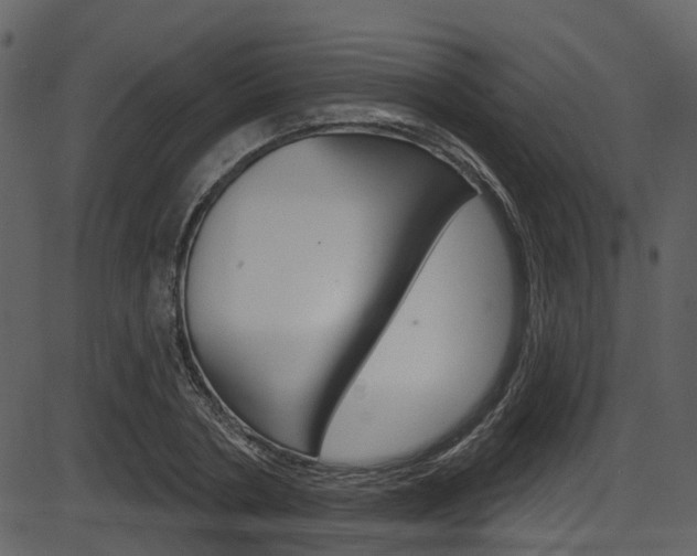 X0000086220786200703291002
