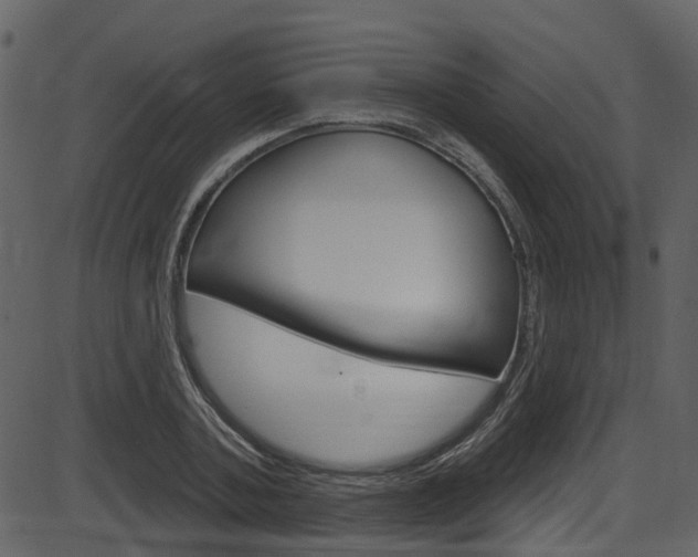 X0000086220787200703291002