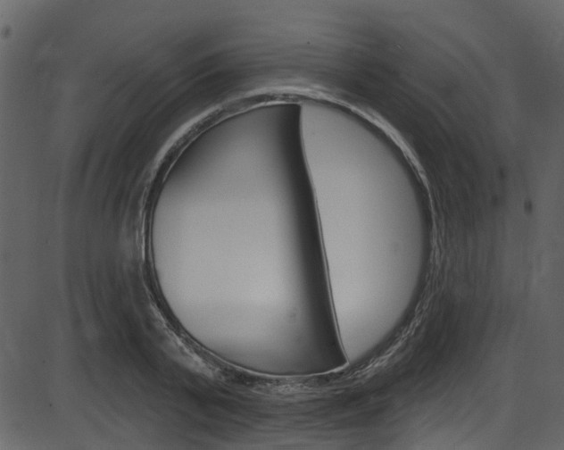 X0000086220791200703291002