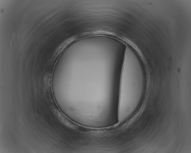 X0000086220793200703291002