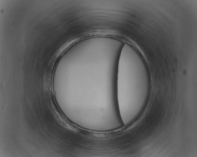 X0000086220794200703291002