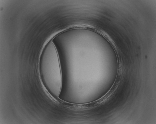 X0000086220795200703291002