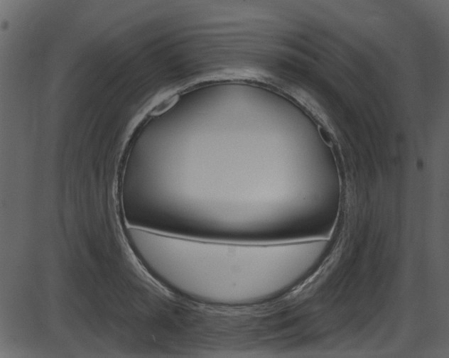 X0000086220797200703291002