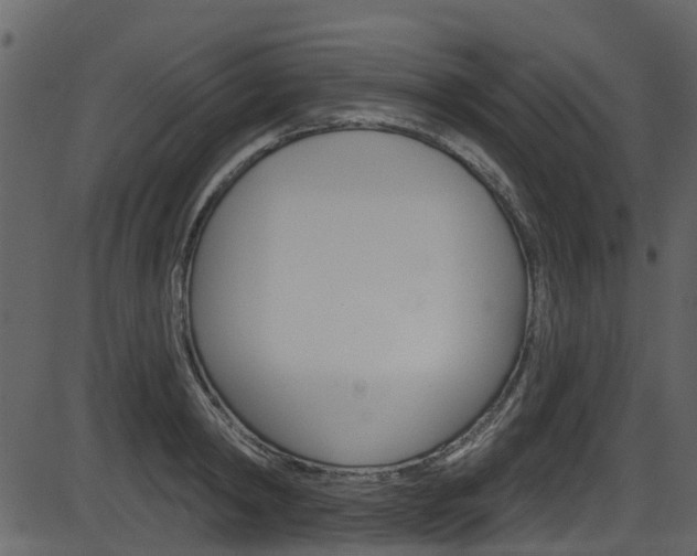 X0000086220798200703291002