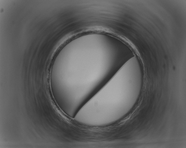 X0000086220799200703291002