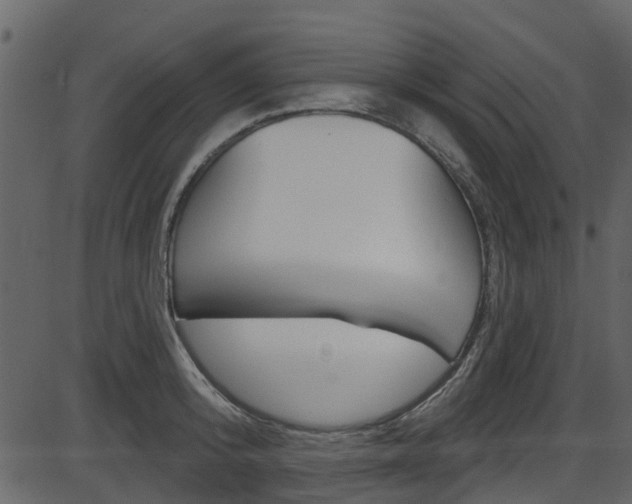 X0000086220800200703291002