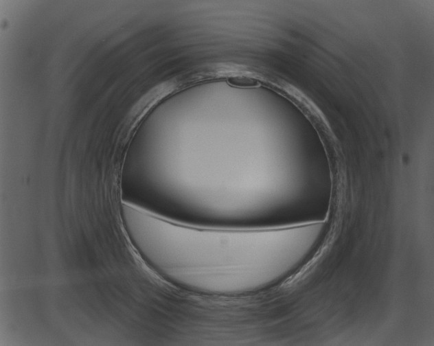 X0000086220801200703291002