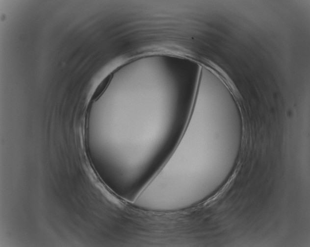 X0000086220812200703291002