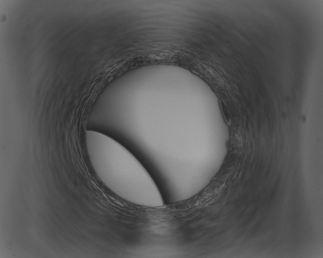 X0000086220817200703291001
