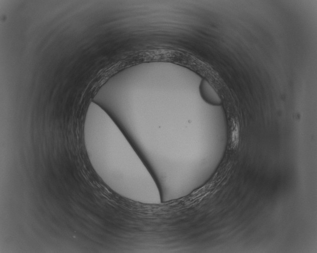 X0000086220819200703291001