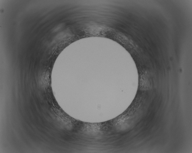 X0000086220820200703291001