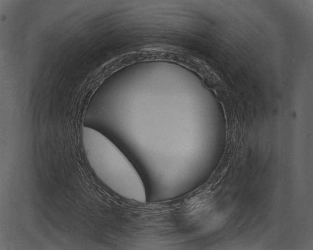 X0000086220821200703291001