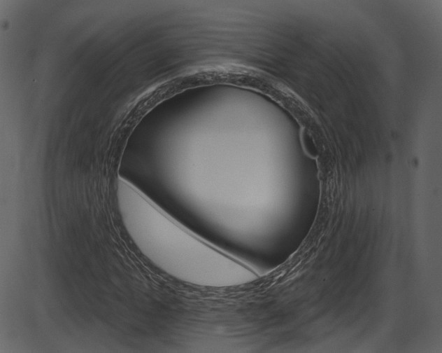 X0000086220822200703291001