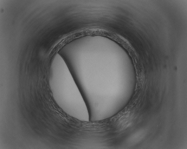 X0000086220823200703291001