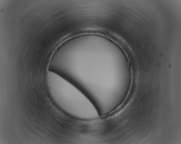 X0000086220825200703291001