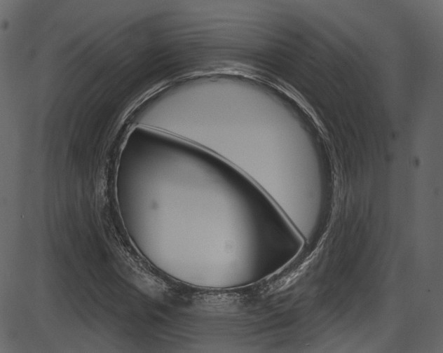 X0000086220826200703291001