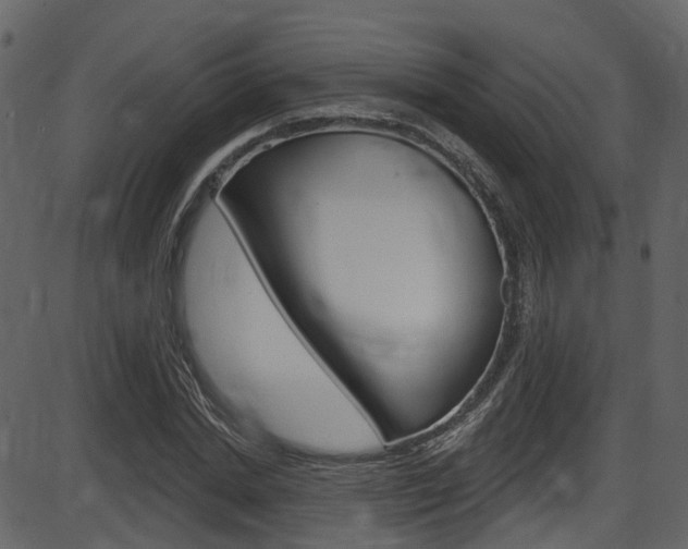 X0000086220830200703291001
