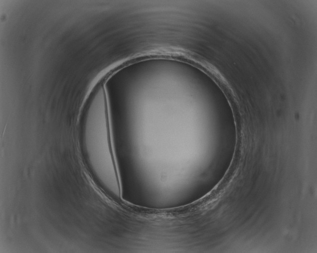 X0000086220838200703291001