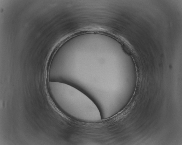 X0000086220840200703291002
