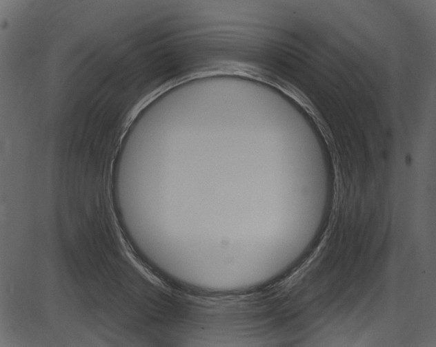 X0000086220842200703291002
