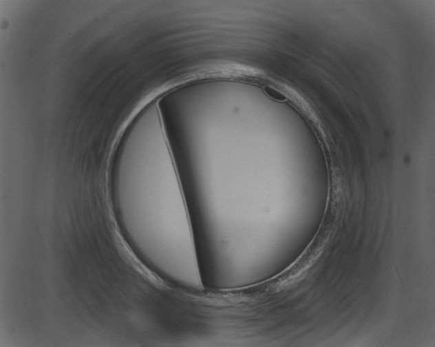 X0000086220843200703291002