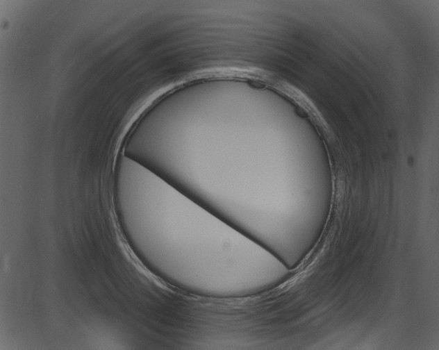 X0000086220844200703291002
