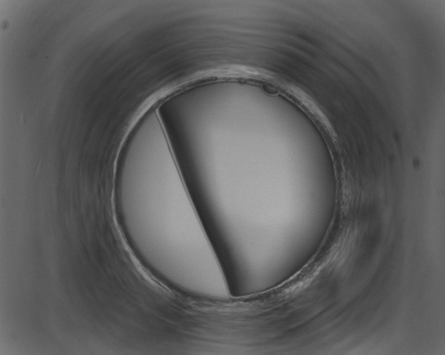 X0000086220845200703291002