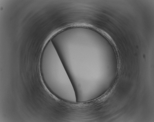 X0000086220847200703291002