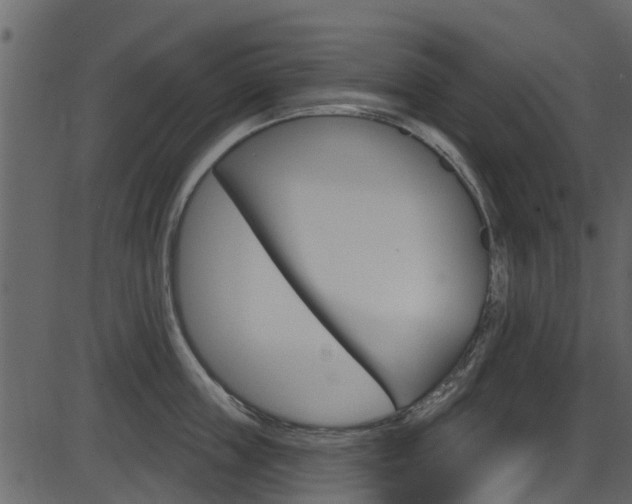 X0000086220859200703291002