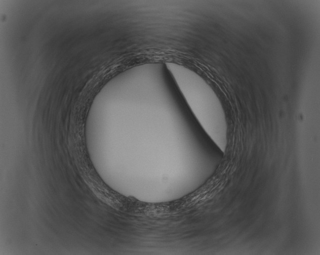 X0000086220865200703291001