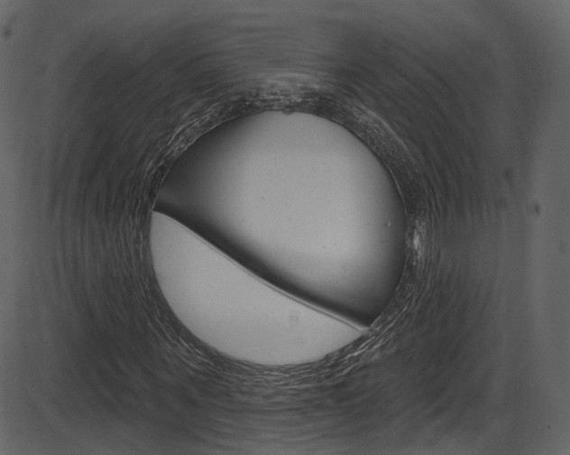 X0000086220867200703291001