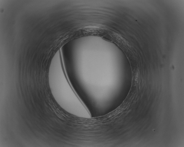 X0000086220868200703291001