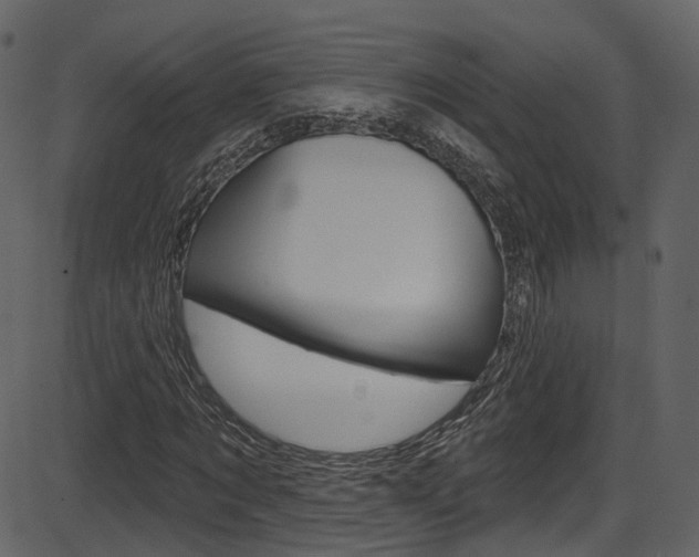 X0000086220869200703291001