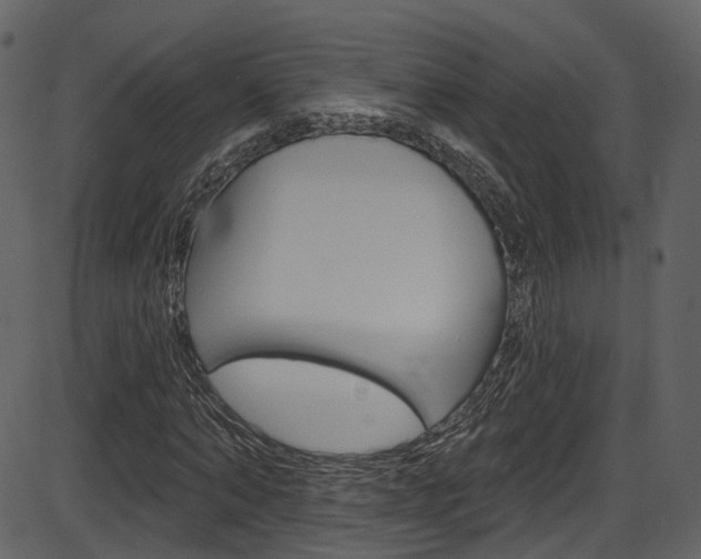X0000086220870200703291001