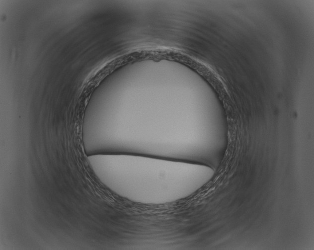 X0000086220871200703291001