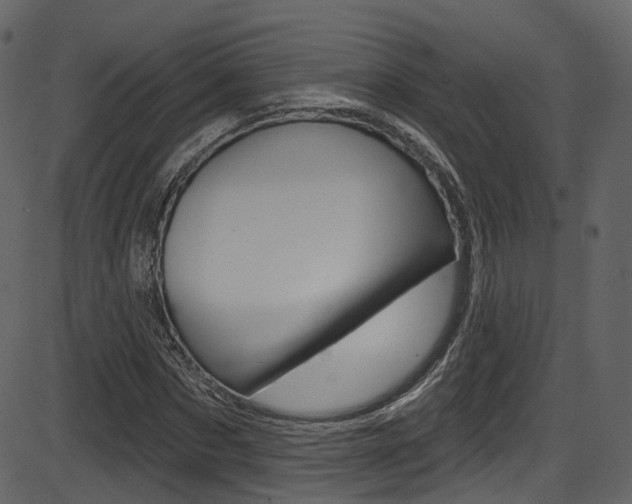 X0000086220873200703291001