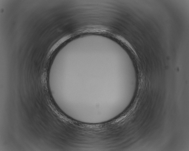 X0000086220874200703291001