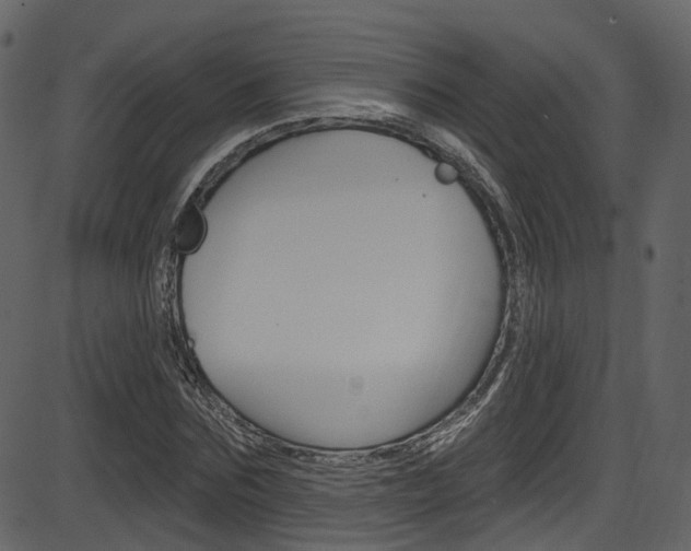 X0000086220875200703291001