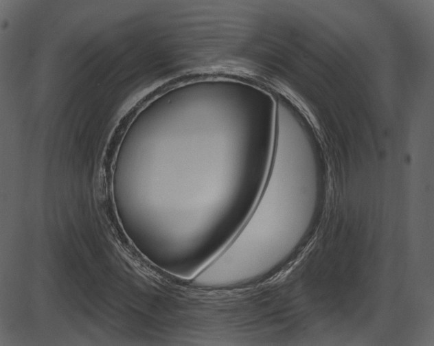 X0000086220876200703291001